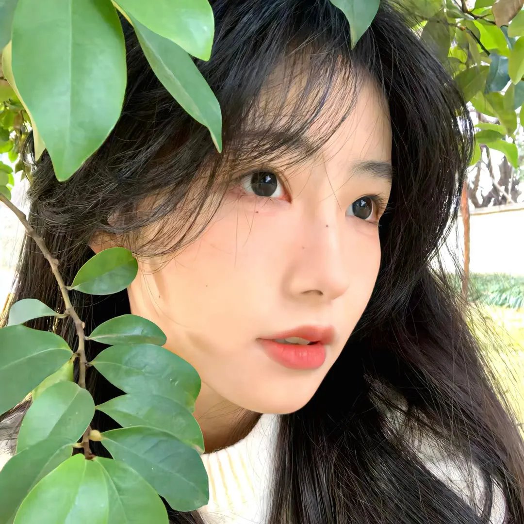 青木原树海