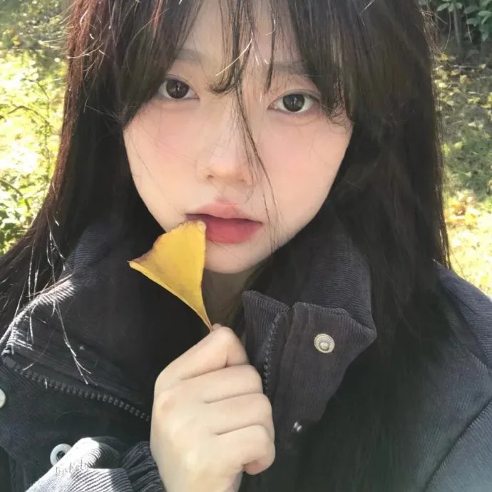 穷追不舍
